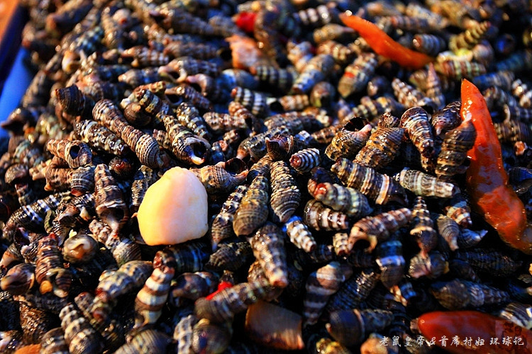 ��Ԫ�Ա鸣��С�� - ����ʵ���ϯ�帾 - �ĵ���·,���޽�