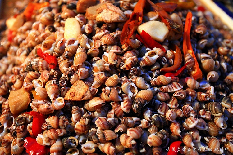 ��Ԫ�Ա鸣��С�� - ����ʵ���ϯ�帾 - �ĵ���·,���޽�