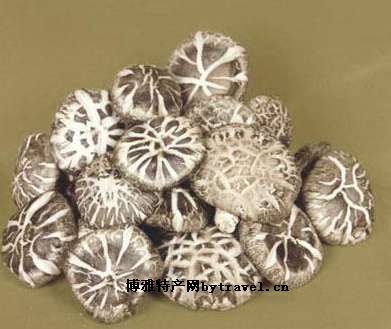 �������㹽