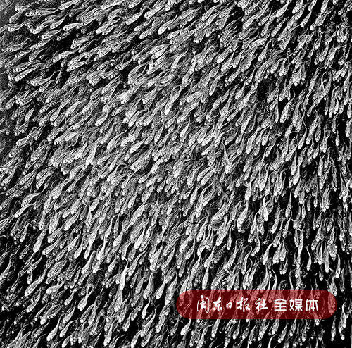 2018年06月09日02版重点3